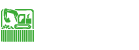 Commercial Site Clearance